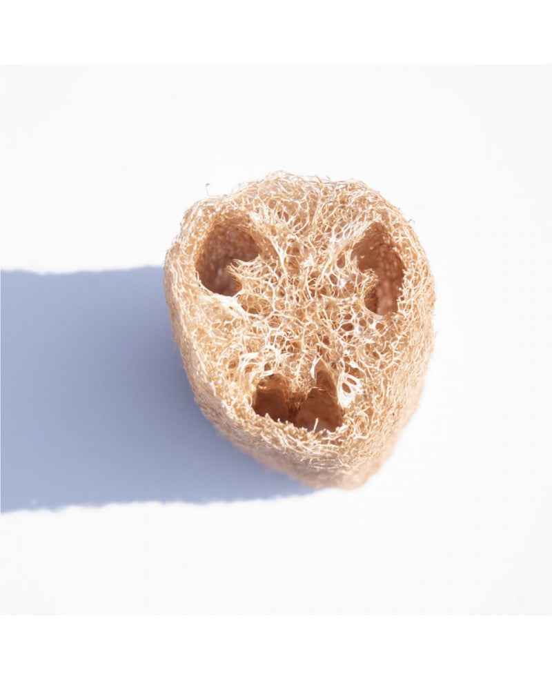 Spugna di Luffa